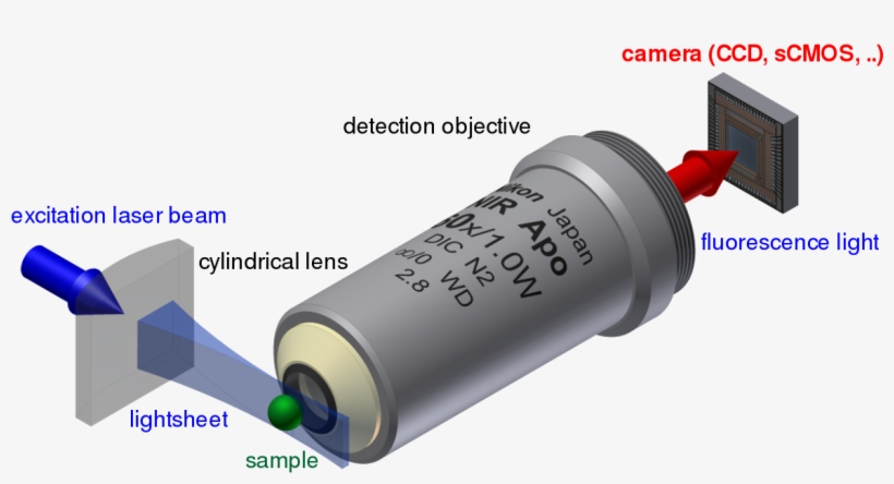 Light Sheet Microscopy, transparent png