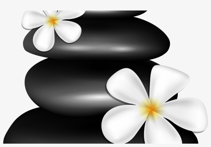 Spa Stones With White Flowers Png Clipart Image Gallery - Clip Art, transparent png