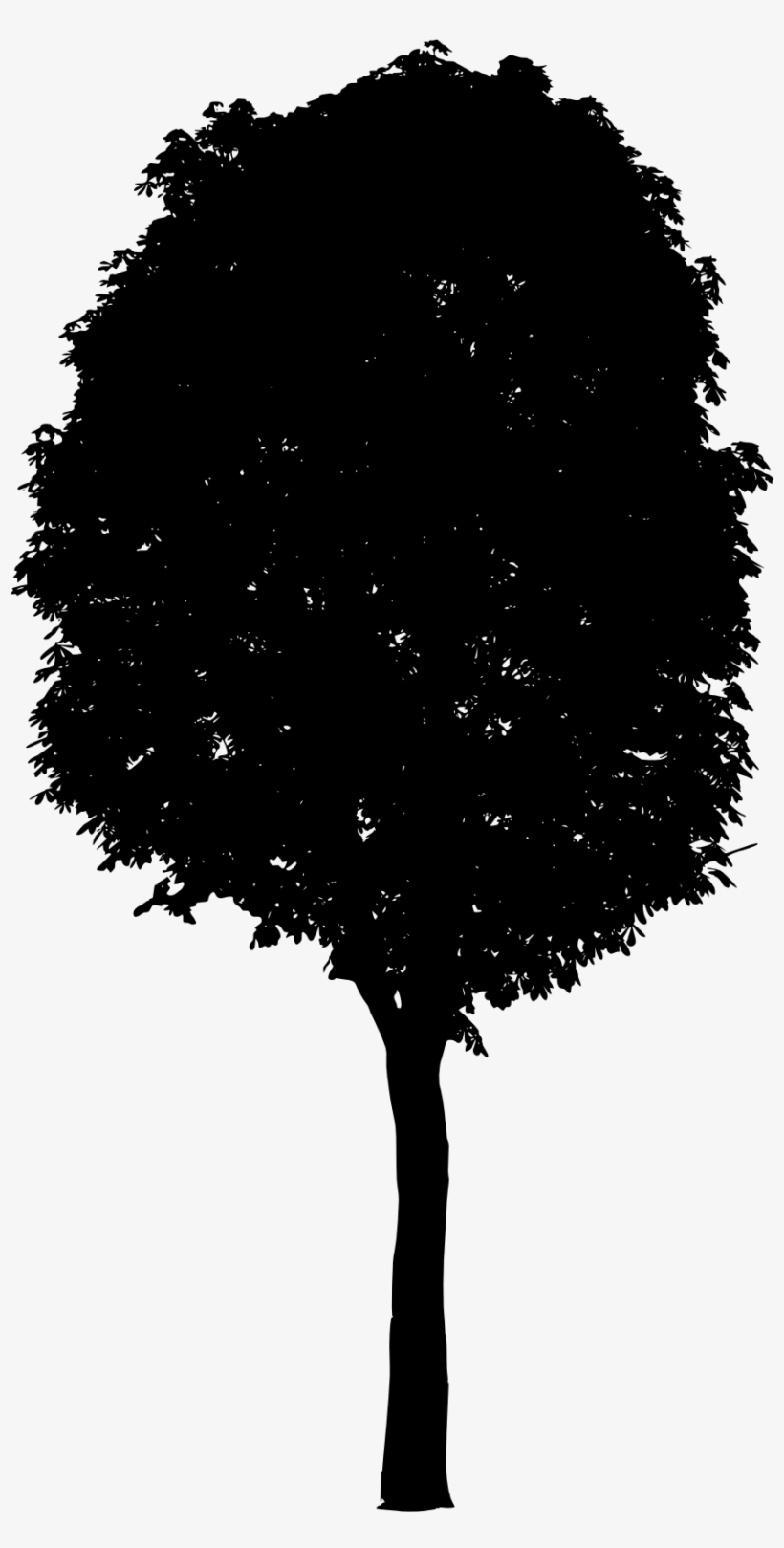 Png File Size - Tree, transparent png