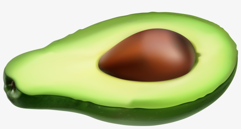 Macro Photography, transparent png