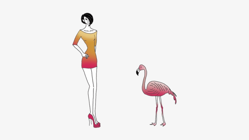 Flamingos - Greater Flamingo, transparent png