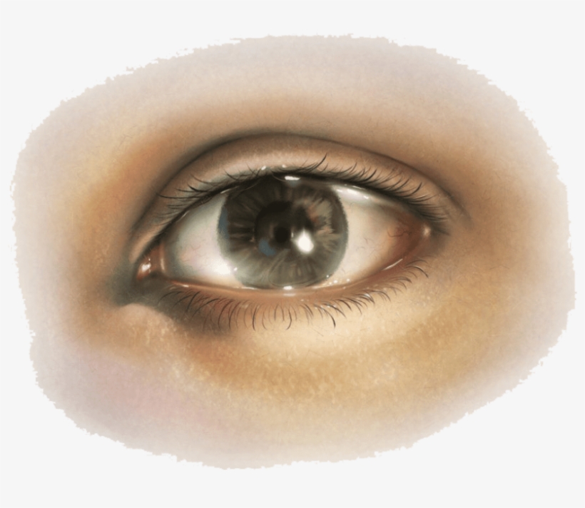 Free Png Eye Png Images Transparent - Human Eye Png, transparent png
