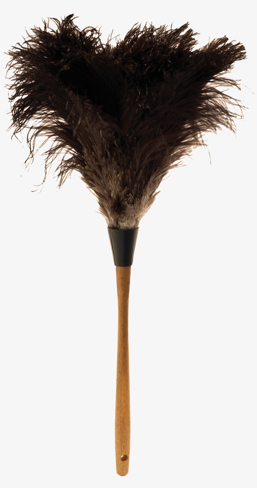 Ostrich Feather Png - Ostrich Feather Duster Png - 1500x2908 PNG