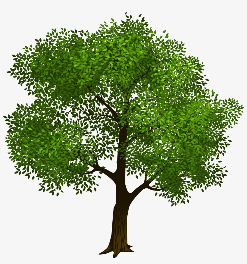 Transparent Green Tree Clipart Picture Transparent Background Tree Clipart 5016x4919 Png Download Pngkit Transparent Green Tree Clipart Picture Transparent Background Tree Clipart 5016x4919 Png Download Pngkit