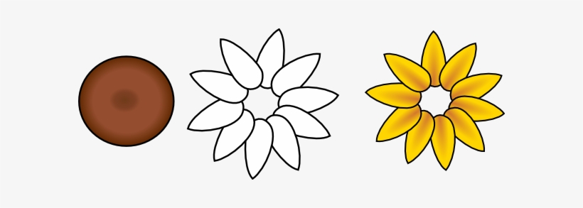How To Set Use First Layer Flower Petals Clipart, transparent png