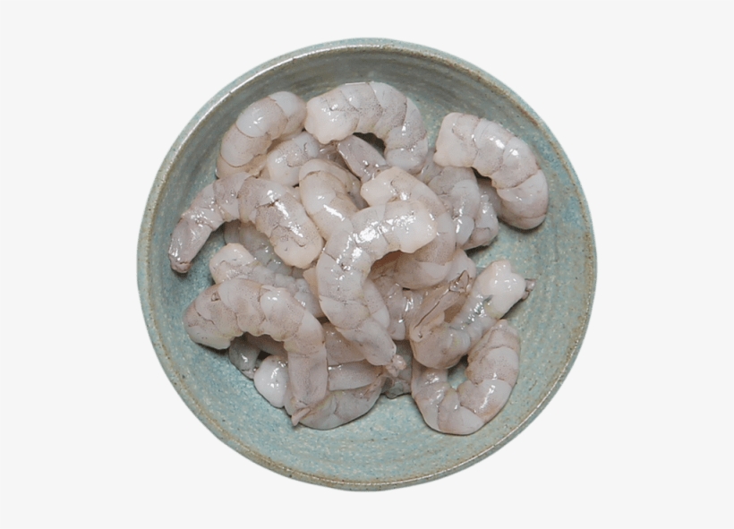 10 Ounce - Shrimp - Boa Constrictor, transparent png