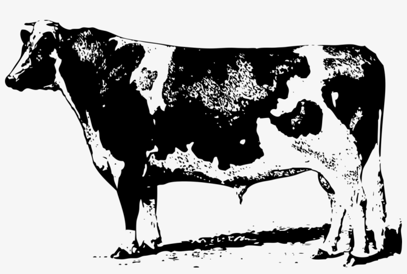 How To Set Use Cow Clipart, transparent png