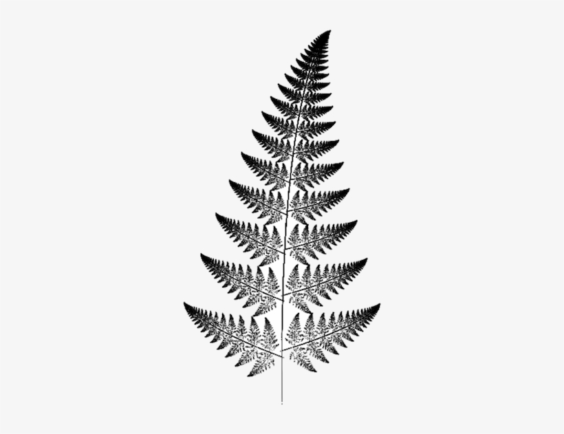 Fan-art - Fractal Fern, transparent png