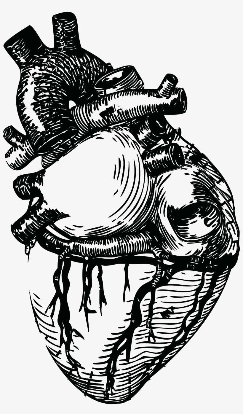 Drawn Grenade Human Heart - Realistic Heart Line Art, transparent png
