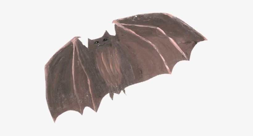 Bat - Vampire Bat, transparent png