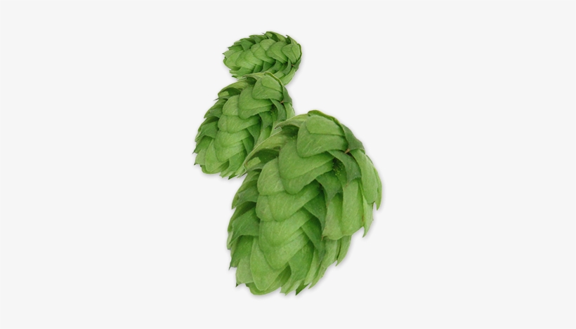 Crystal Pellet Hops Michigan Grown - Expired Spinach, transparent png