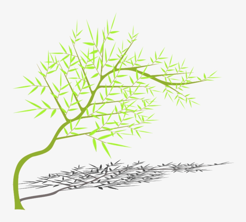 Portable Network Graphics, transparent png