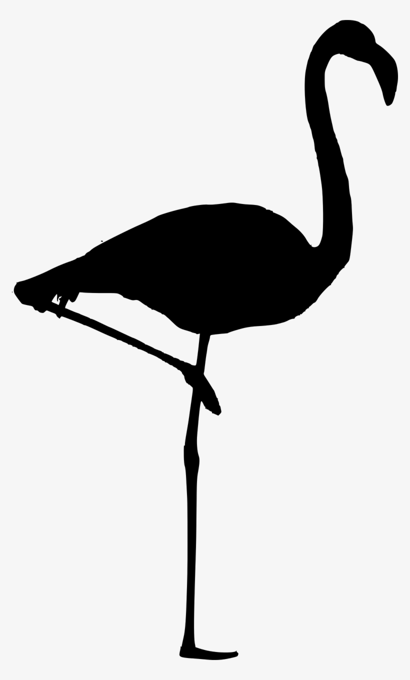 Silhouette,flamingo Isolated,free Vector - Flamingo Silhouette Vector Free, transparent png