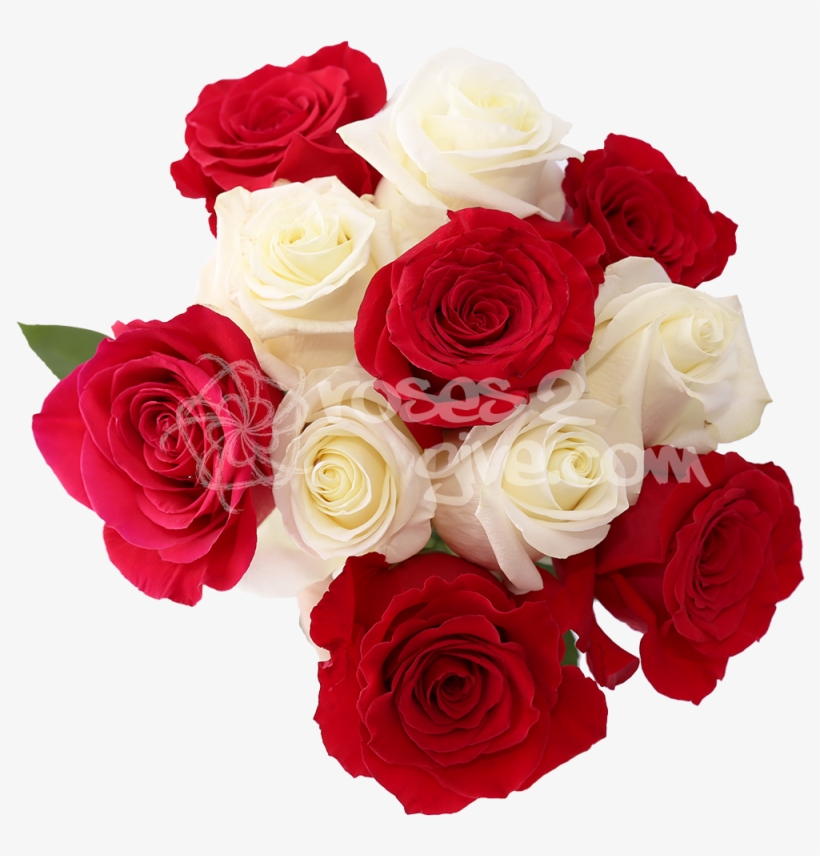 White - Red Combination - White And Red Rose Flowers Images Png, transparent png
