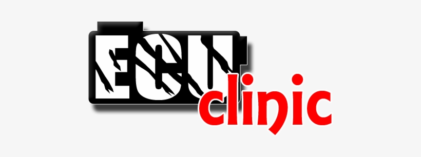 Ecu Clinic - Ecu Repair Logo, transparent png