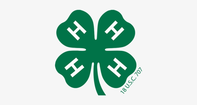 Sign Up For 4-h - 4 H Clover, transparent png