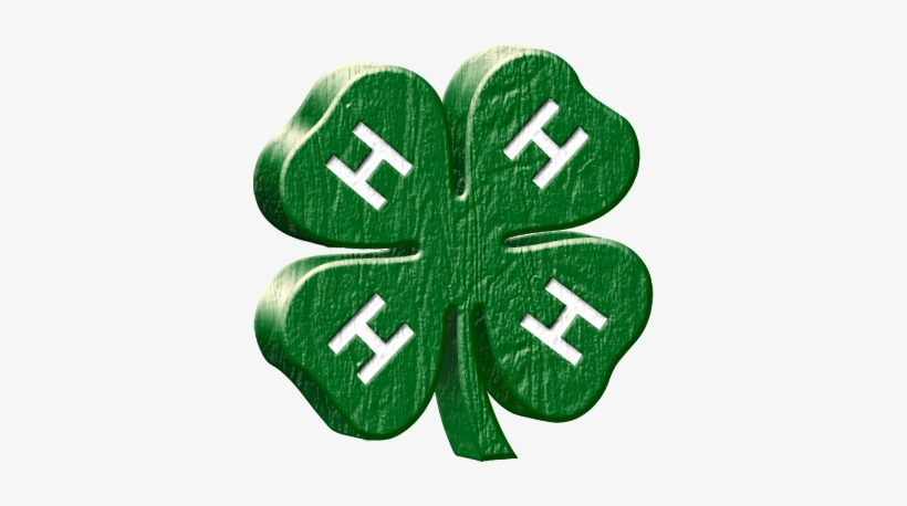 View Fair Premium Book - 4 H Clover, transparent png