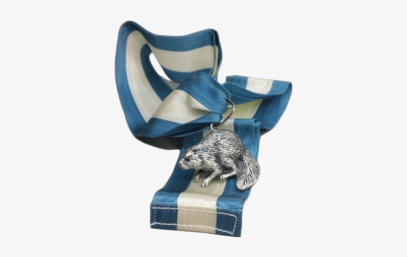 Silver Beaver Historical List - Silver Beaver Award, transparent png