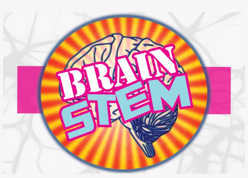 Neuroscience In The Afternoon - Chrome And Safari Icon, transparent png