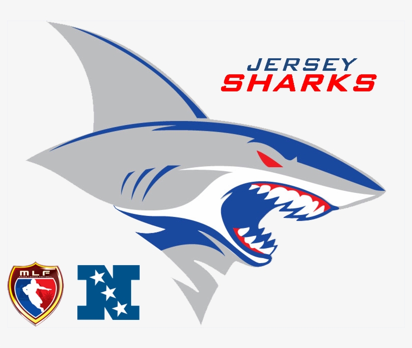 Jerseysharks11 - Great White Shark, transparent png