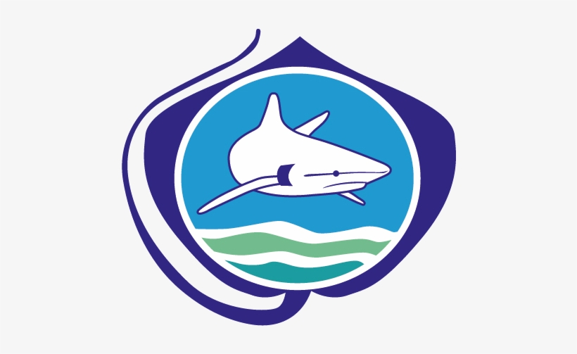 Himbers Bring Home Awards From The 2018 Sharks International, transparent png