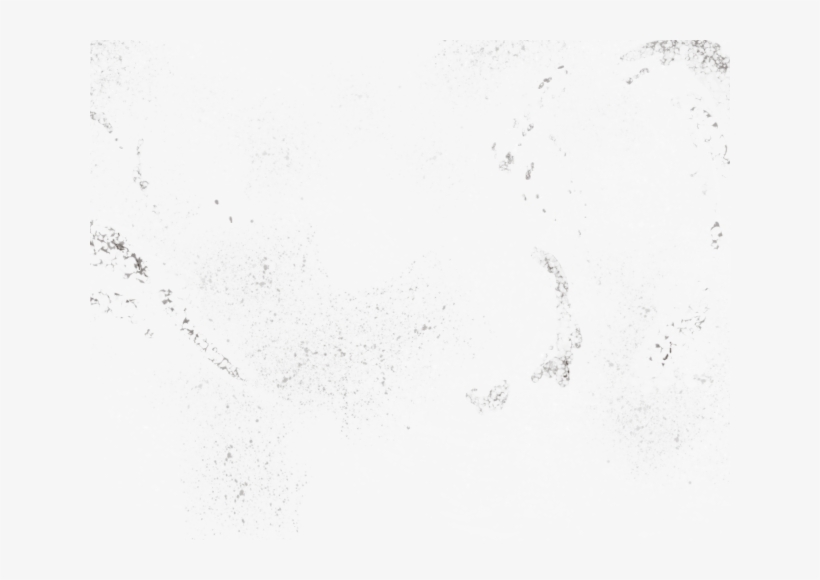 Sketch, transparent png