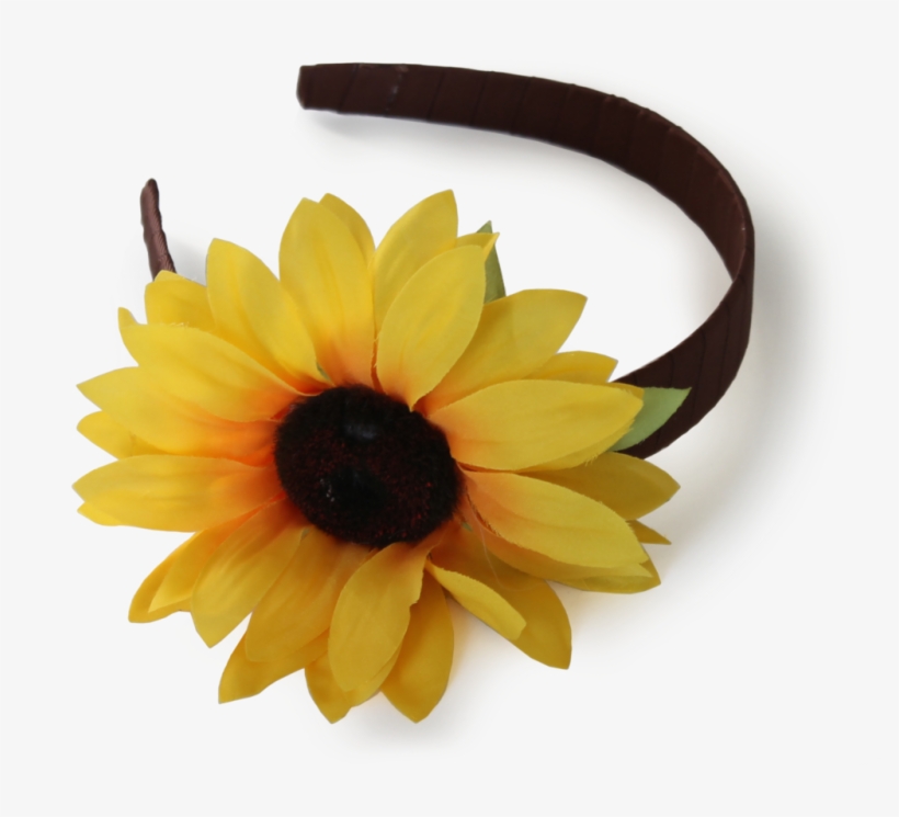 Flower Crown Collection - Flower, transparent png