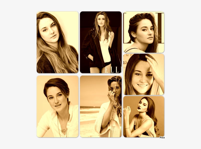 Photo - Collage, transparent png
