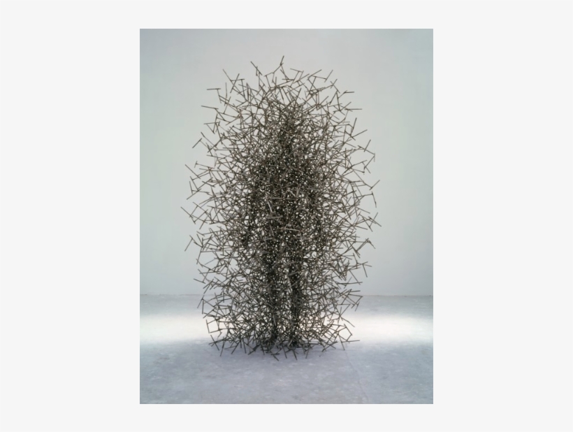 Quantum Cloud Xix, Antony Gormley, Stainless Steel - Antony Gormley Quantum Cloud, transparent png