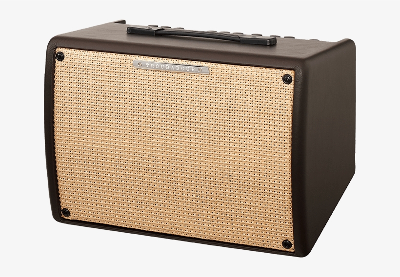 Sale - Ibanez Troubadour T30, transparent png