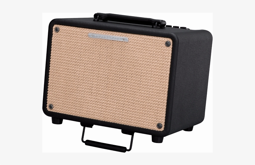 Ibanez Troubadour T30 30 Watt Acoustic Guitar Amplifier, transparent png