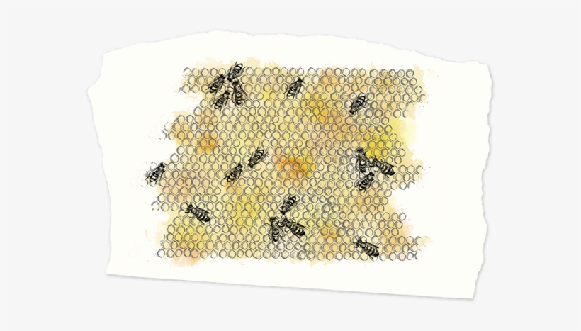 Honeybee, transparent png