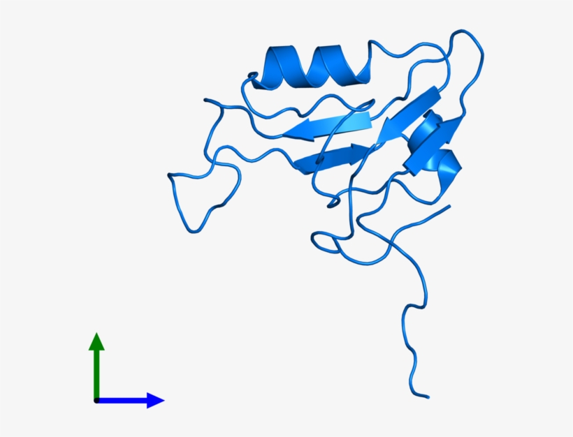 <div Class='caption-body'>pdb Entry 1uju Contains 1, transparent png