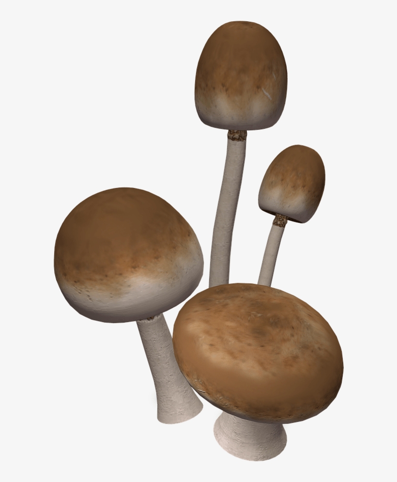 Descargar - 3d Mushroom Transparent, transparent png