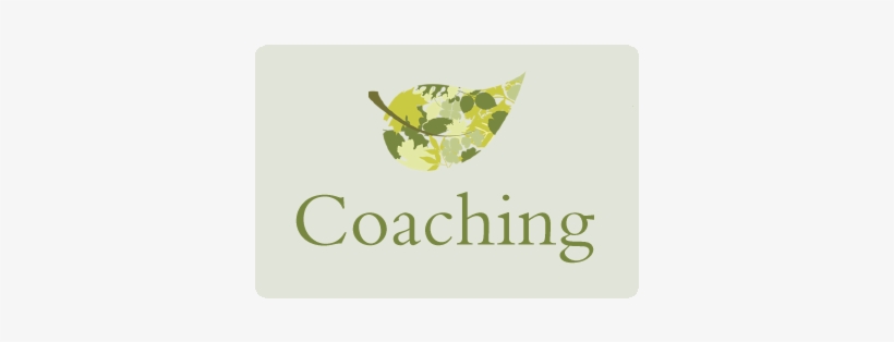Funk And Jackson Website Buttons - Schwarzkopf Stiftung, transparent png