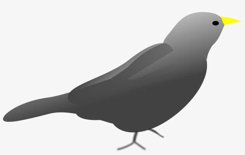 Beak Bird Computer Home Network Call Of Duty - Clip Art, transparent png