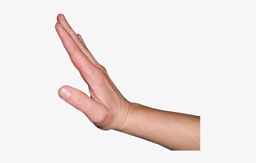 Keep Your Dog Away - Dorsiflexion Of The Hand, transparent png