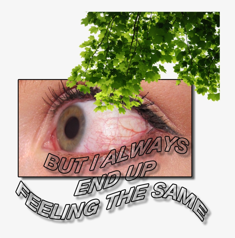 Intaes Internet Aesthetics Vaporwave Netart Webart - Bergamot Essential Oil 1 Fl Oz - 100 Pure & Natural, transparent png