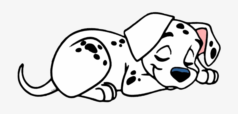 Puppy, transparent png