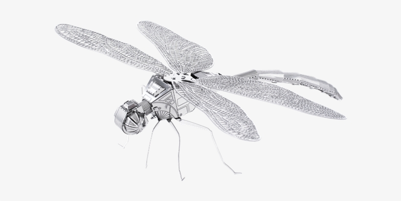 Picture Of Dragonfly - Metal Earth Dragonfly, transparent png