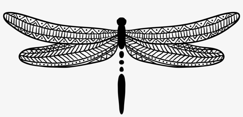 Report Abuse - Dragonfly, transparent png