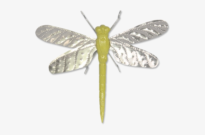 Green Dragonfly - Net-winged Insects, transparent png