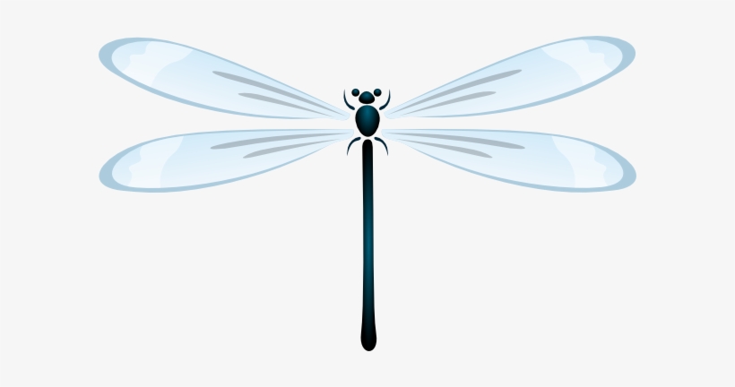 Dragonfly, transparent png