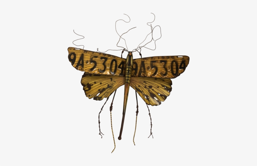 Kari Von Wening - Illustration, transparent png