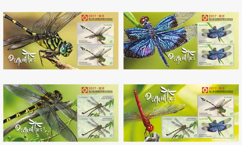 Set Of Four China International Collection Expo 2017, transparent png