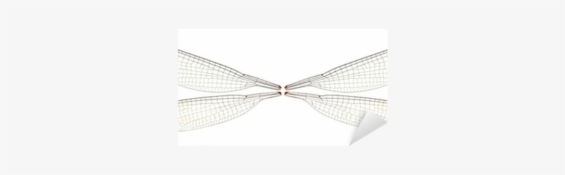 Net, transparent png