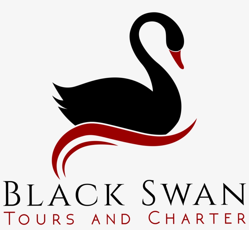 Black Swan, transparent png