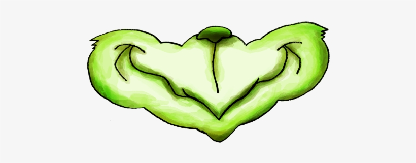 Photo Fun Messages Sticker-7, transparent png