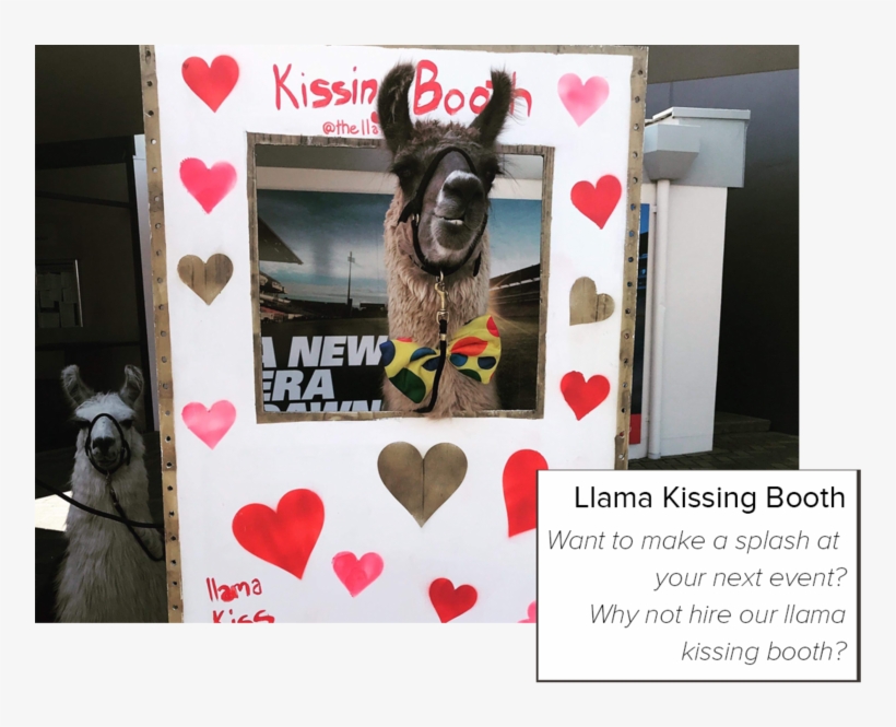 1kissing Booth, transparent png