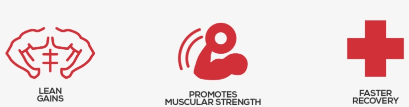 Moab - Muscle Builder - Graphic Design, transparent png